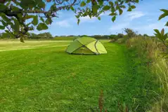 Tent on non electric grass pitches (7m x 3.5m)