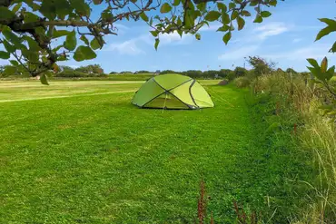 Tent on non electric grass pitches (7m x 3.5m)