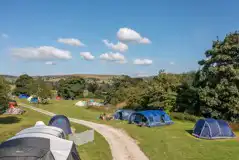 Large tents on grass pitches