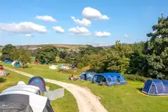 Large tents on grass pitches