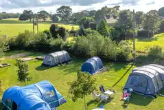 Large tents on grass pitches