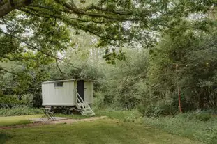 Tey Brook Orchard, Colchester, Essex