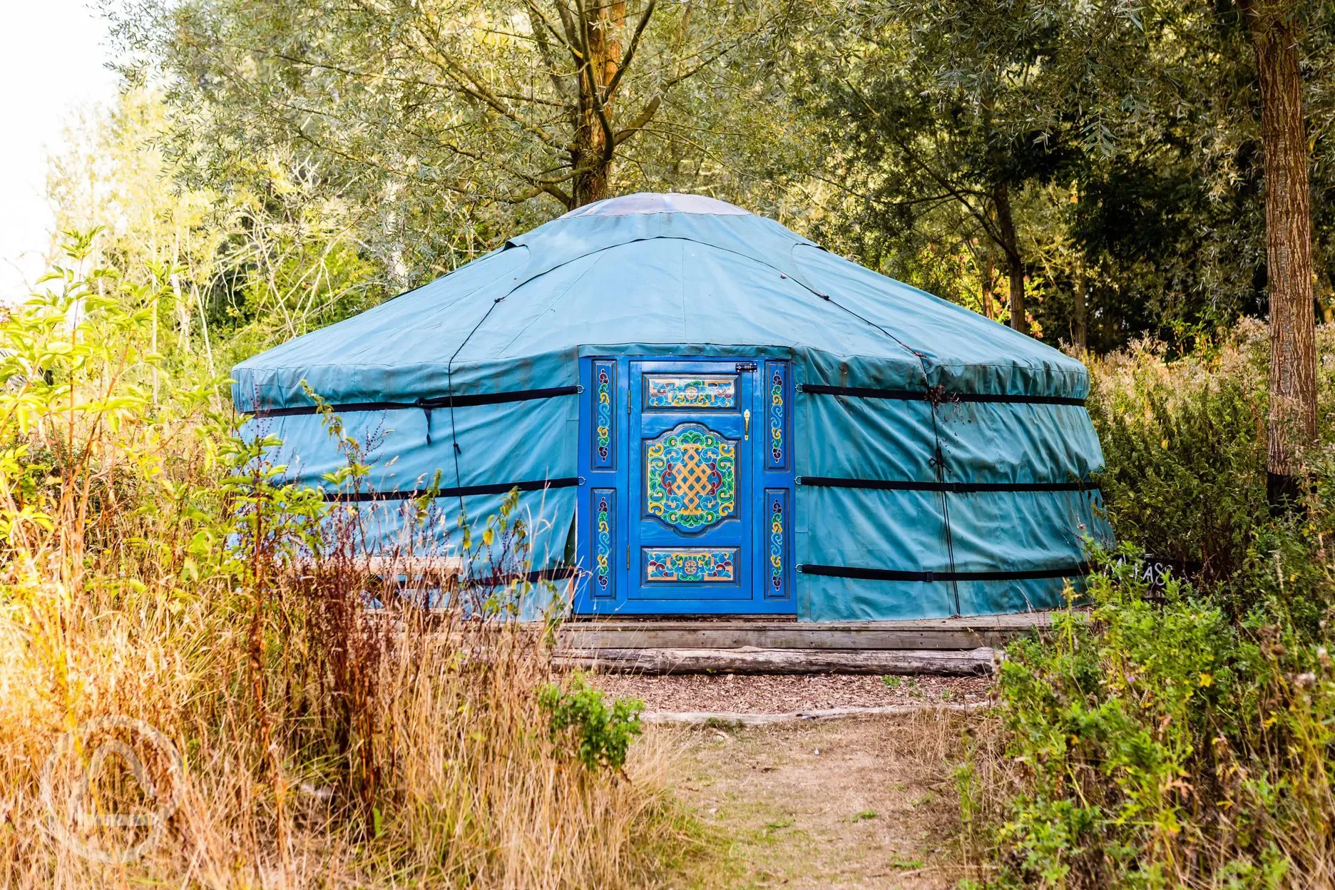 Mufassa Yurt 