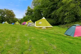 Coed Temple Druid, Clunderwen, Pembrokeshire (8.9 miles)