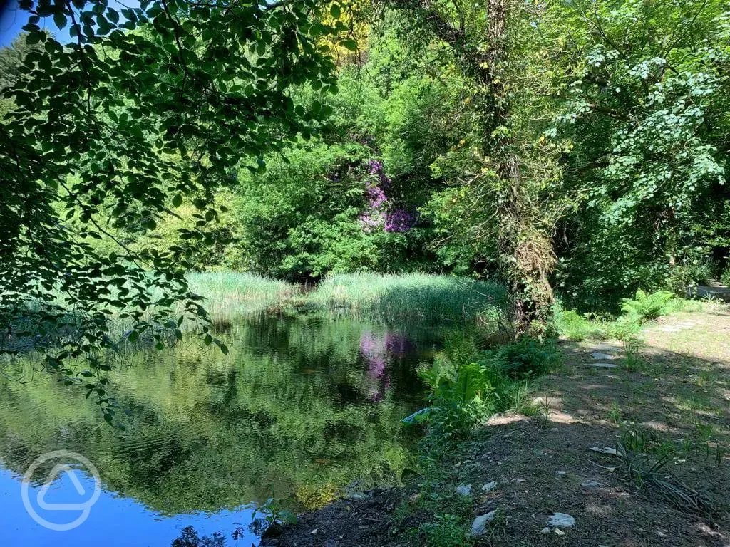 River near the site