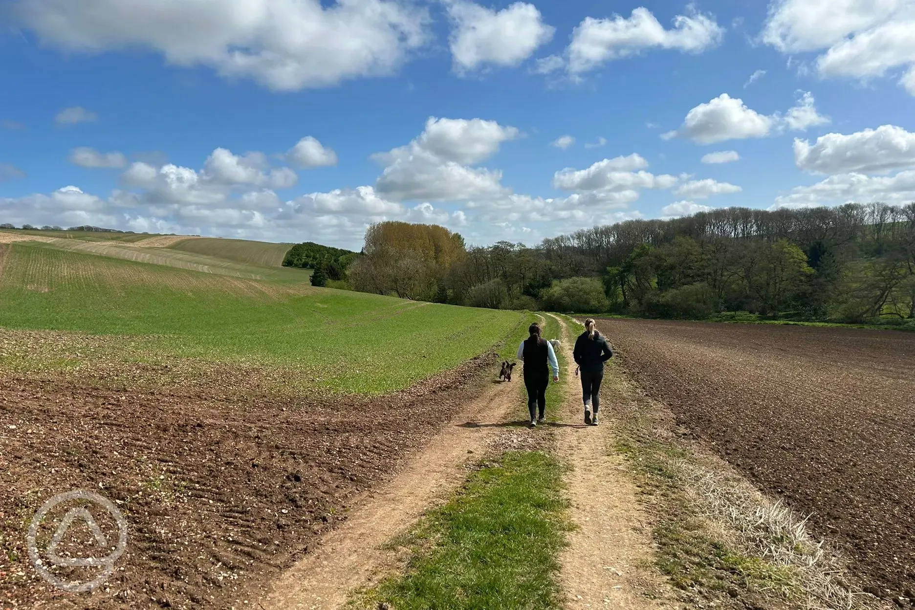 Footpaths from the site