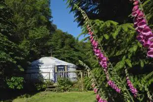 Dartmoor Yurt Holidays, Newton Abbot, Devon (9.8 miles)