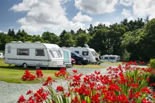 Cranberrymoss Camping and Caravanning, Oswestry, Shropshire