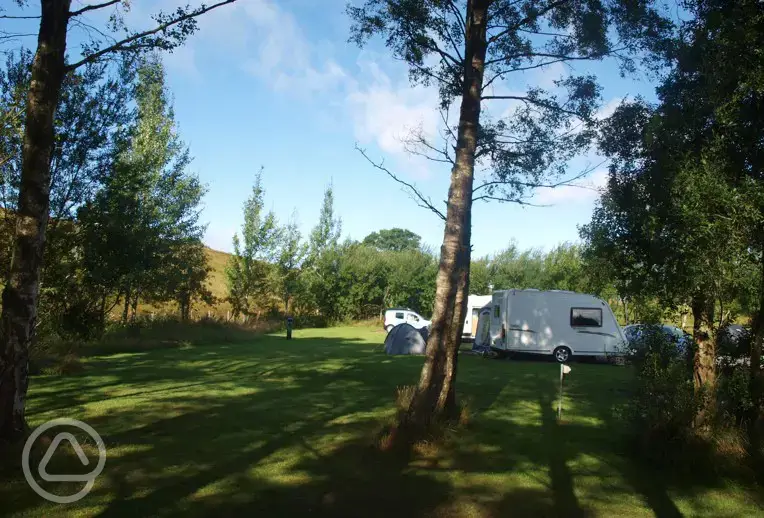 Camping at Bellingham