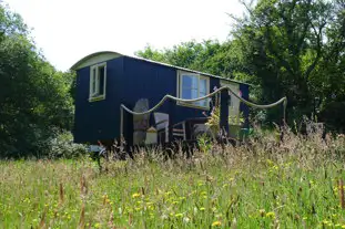 Cwt Gwyrdd Shepherd's Hut and Pod Glamping, Pontyglasier, Crymych, Pembrokeshire (6.5 miles)