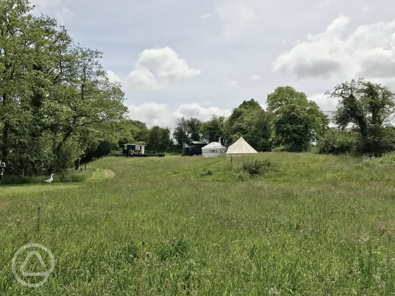 View of the Cwt Gwyrdd site from the meadow