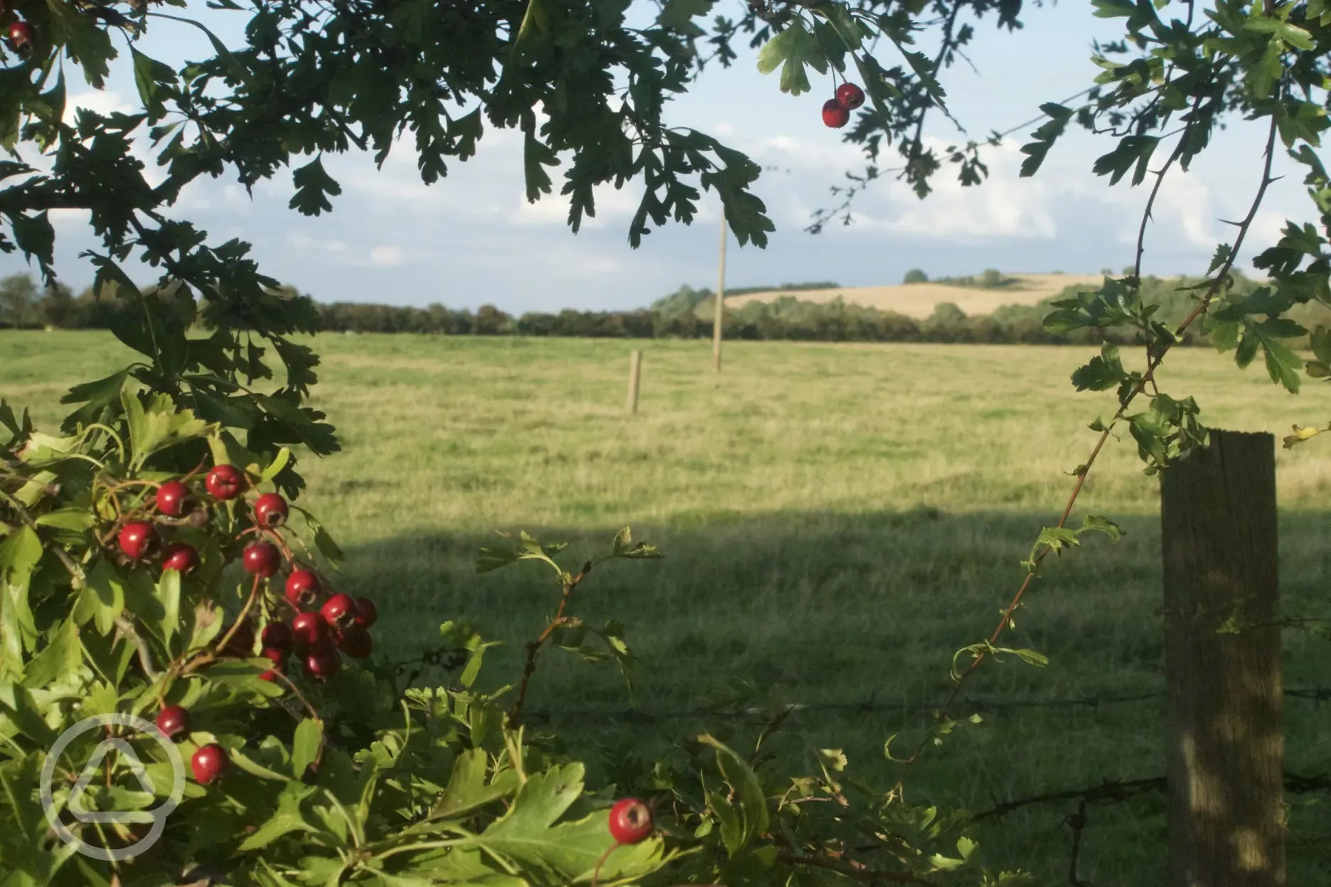 Paddock boundary