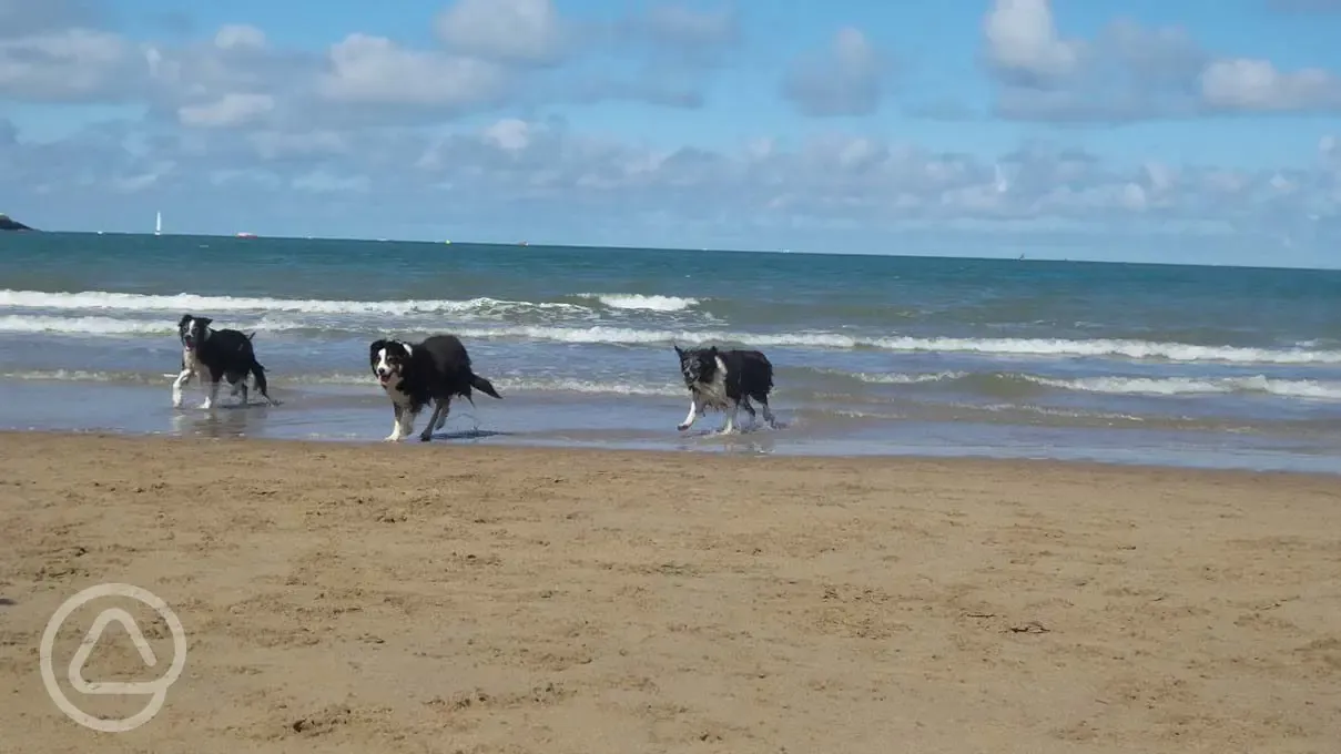 Trip to the beach