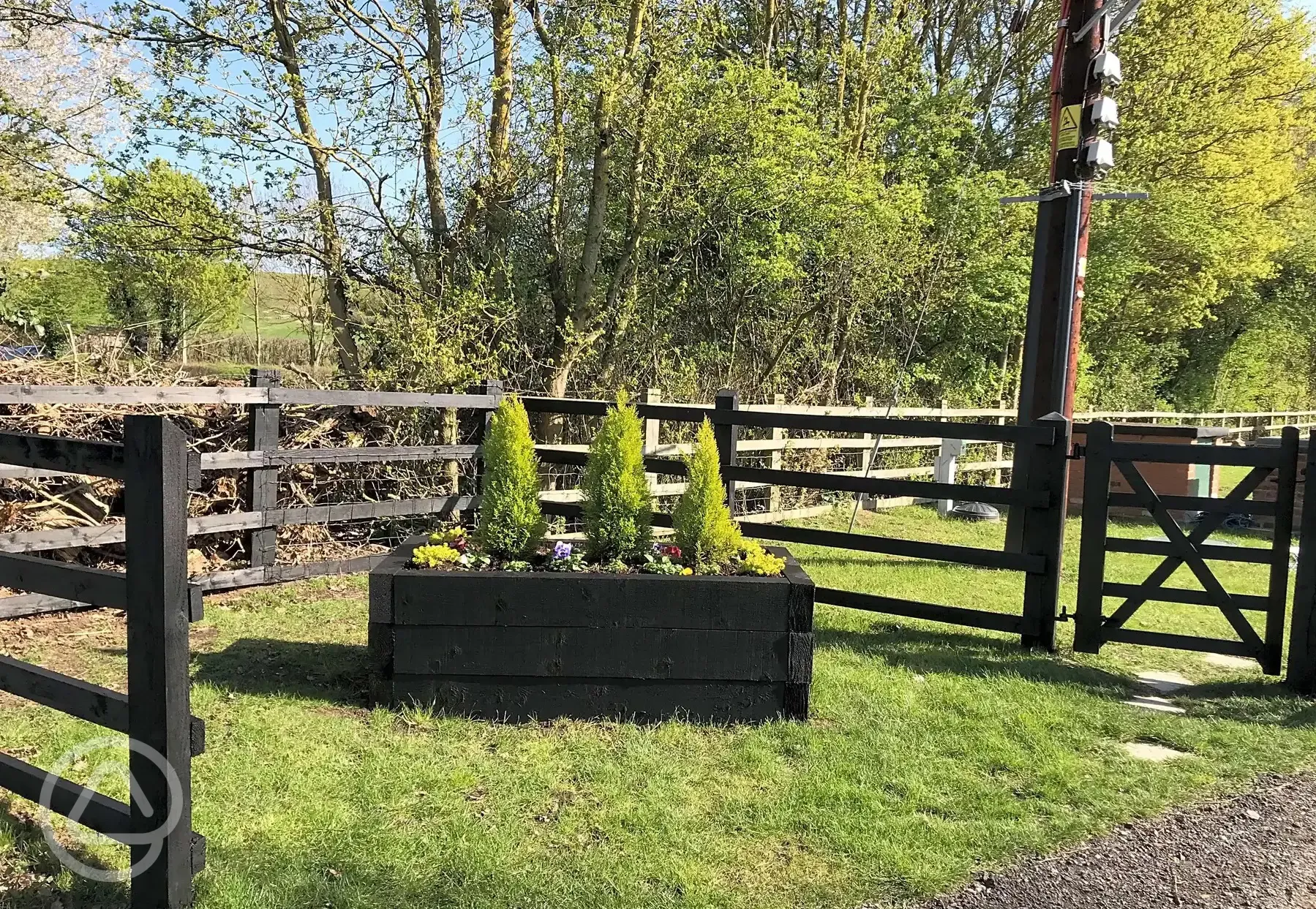 Planting around the site