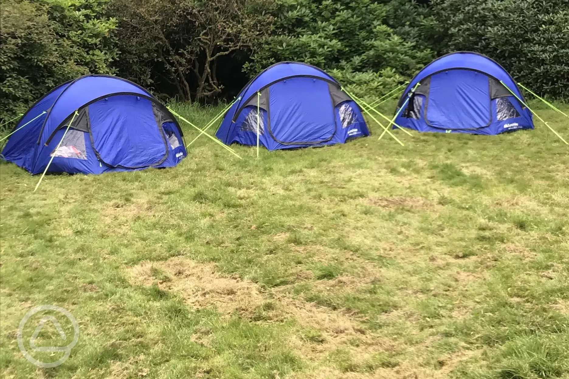Tents on the wild camping pitches