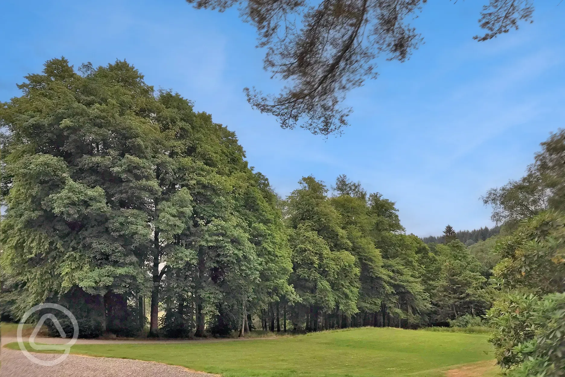 Non electric grass woodland pitches