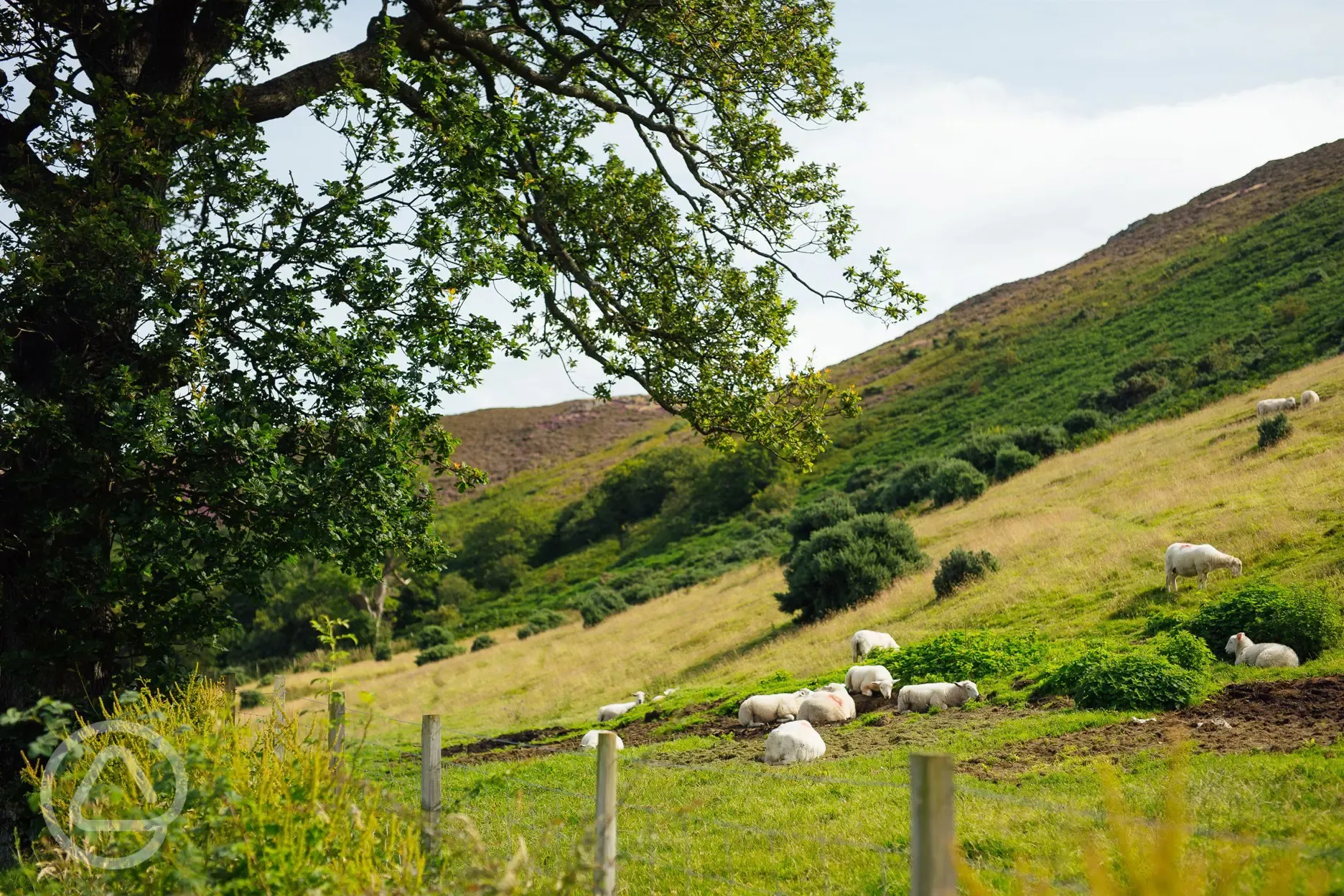 Countryside trails