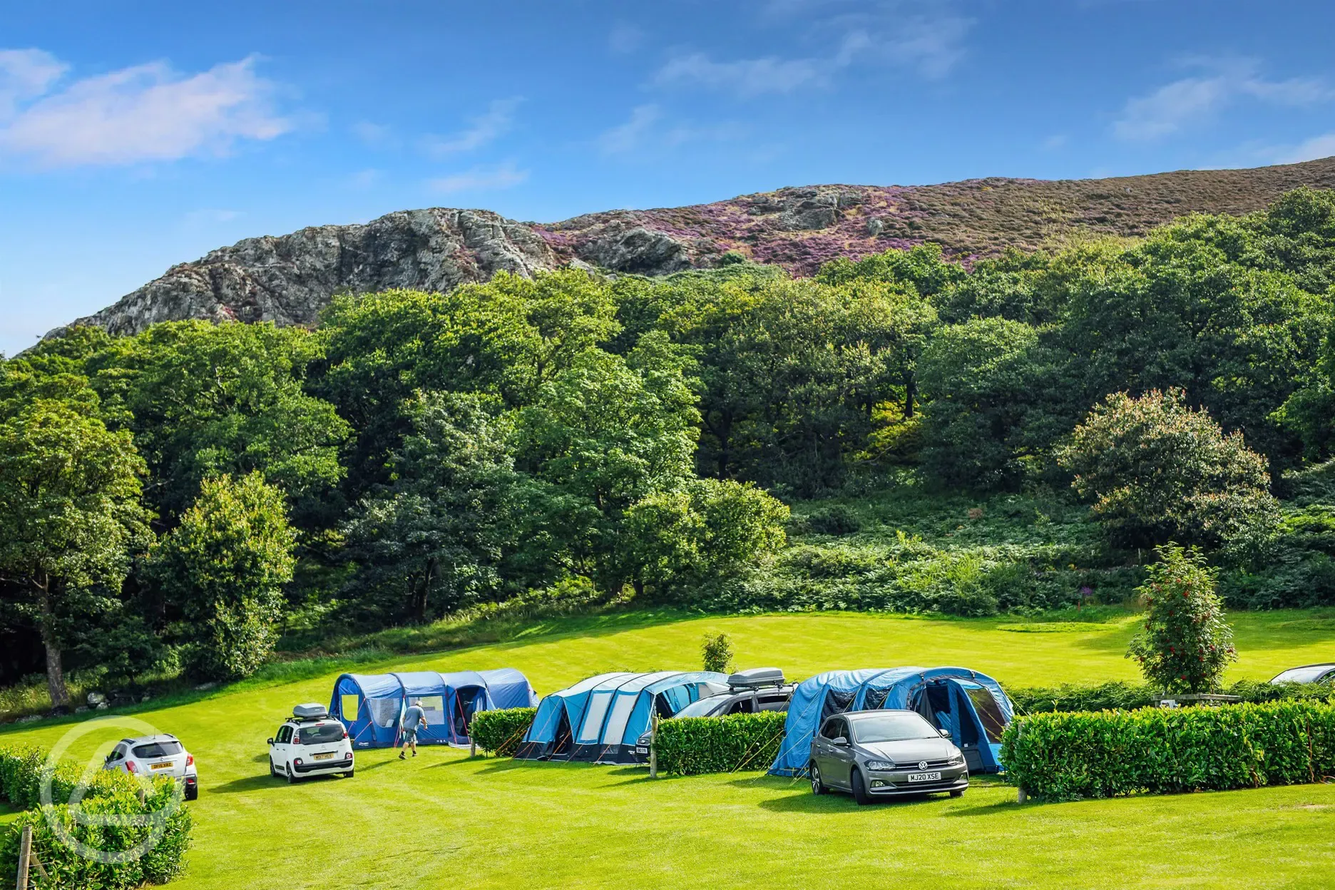 Electric grass pitches for caravans, campervans, roof tents, and motorhomes (7m)
