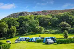 Electric grass pitches for caravans, campervans, roof tents, and motorhomes (7m)