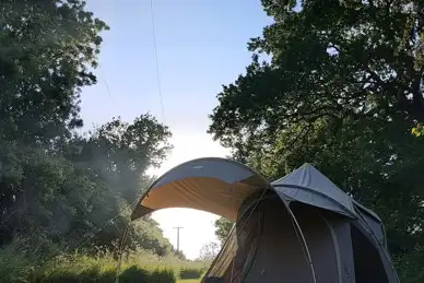 Birds and Bees Campsite