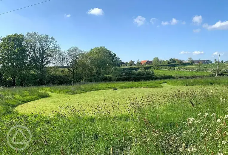 Non electric grass pitches