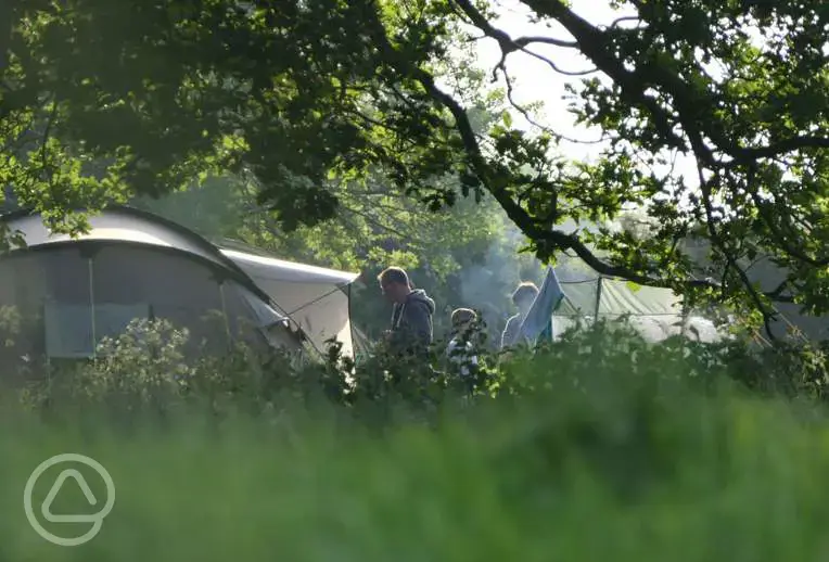 Non electric grass pitches