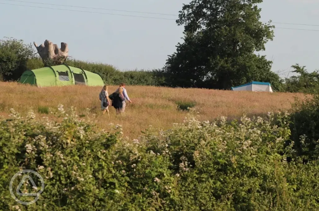 Non electric grass pitches