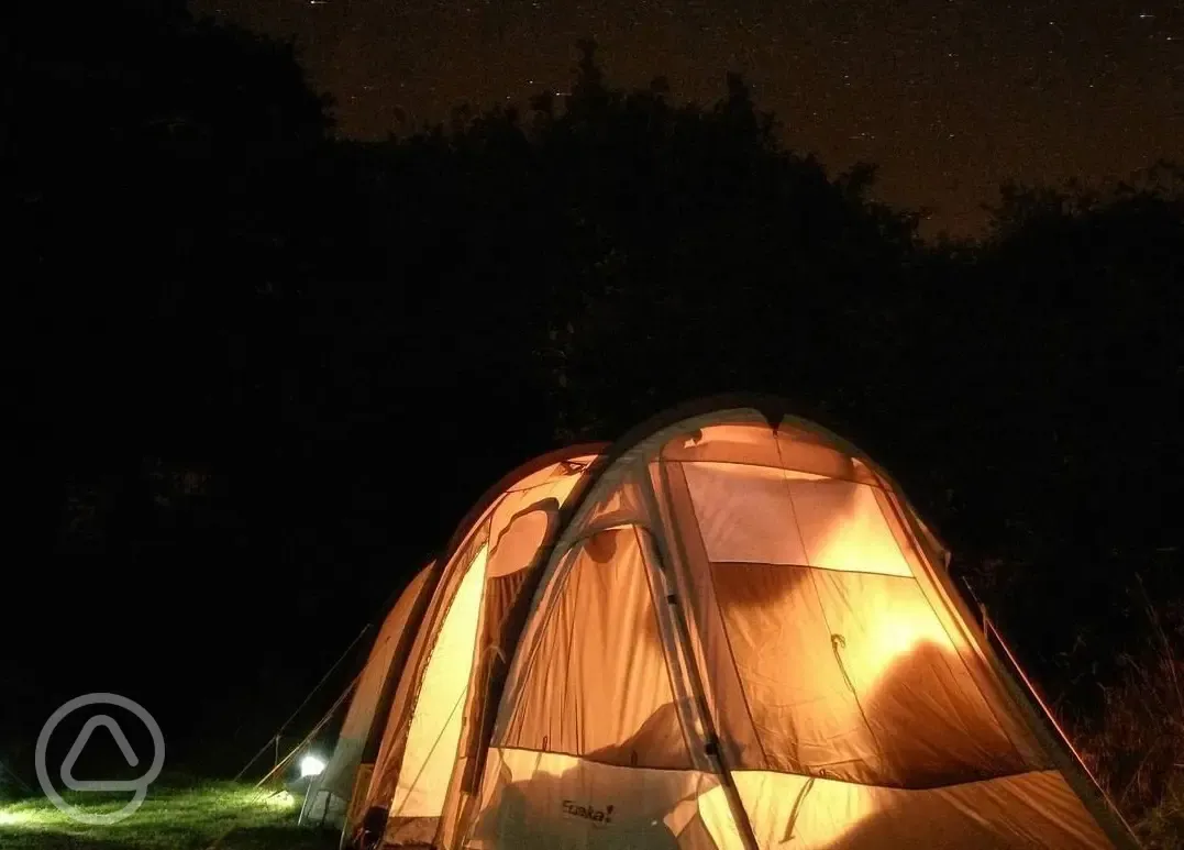 Tent under the stars at Birds and Bees Campsite