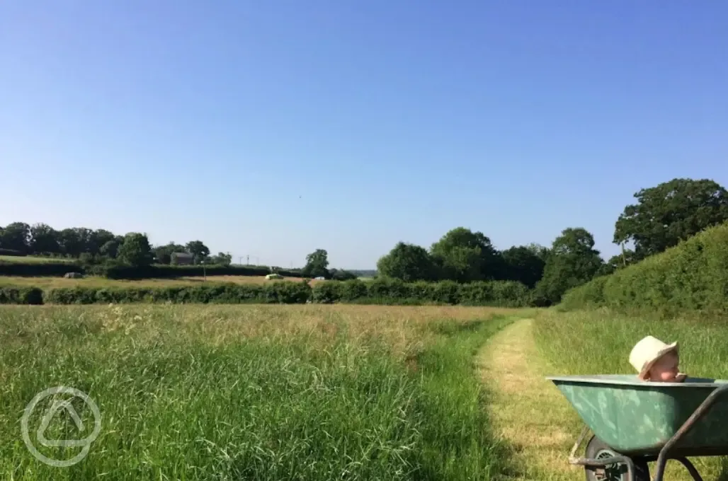 Non electric grass pitches
