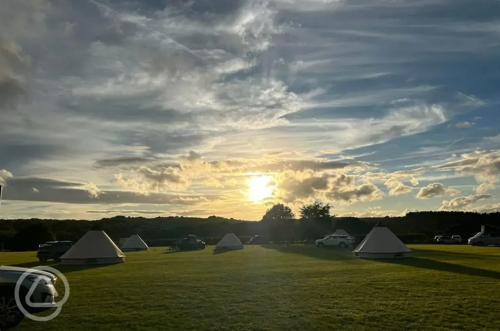 Bell tents and grass pitches 