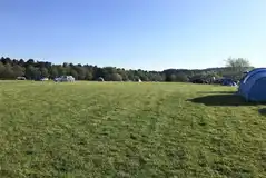 Grass pitches