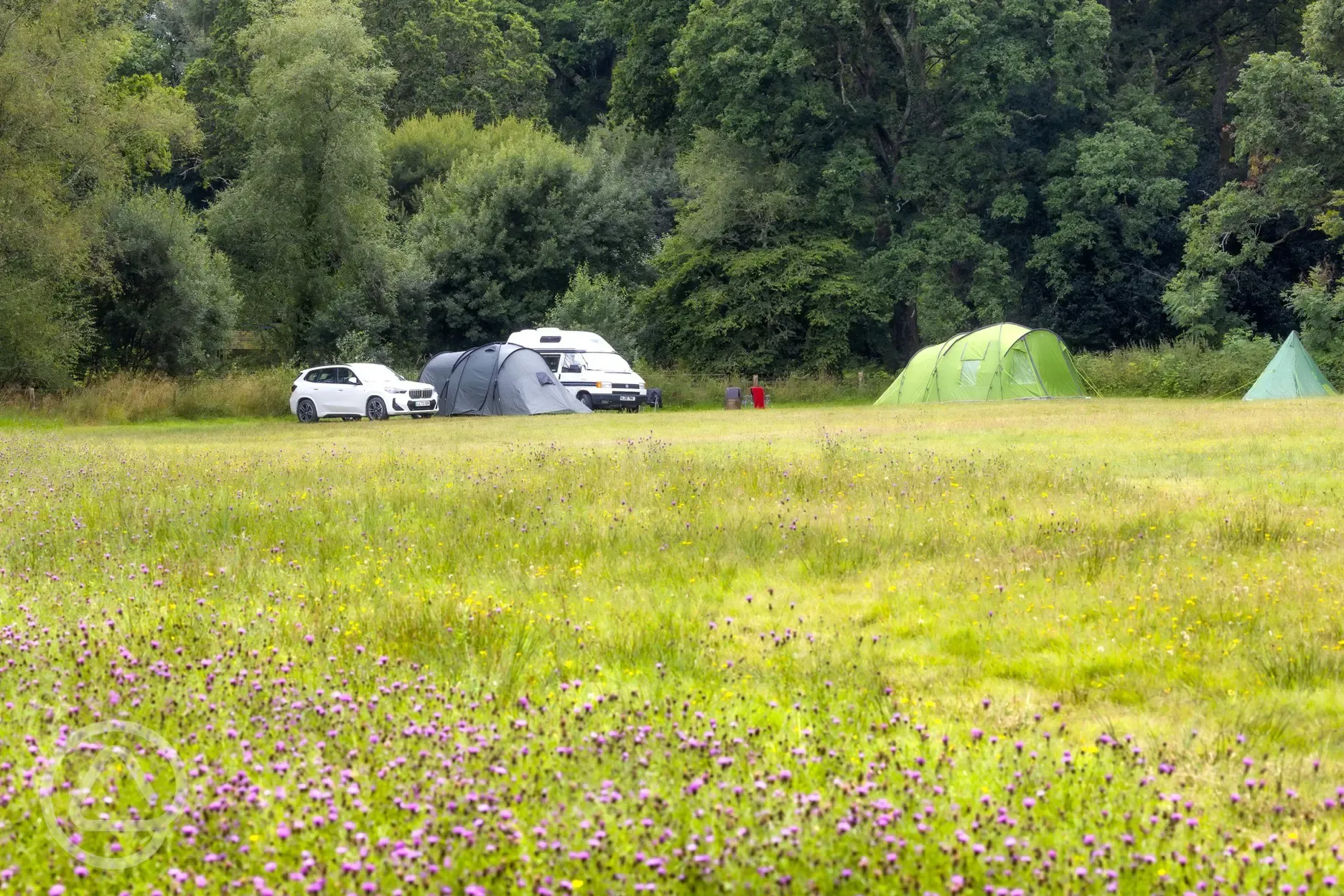 Non electric grass pitches and wildflowers