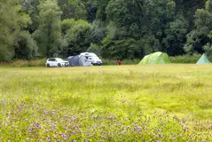 Non electric grass pitches and wildflowers Non electric grass pitches and wildflowers