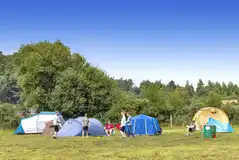Non electric grass pitches Non electric grass pitches