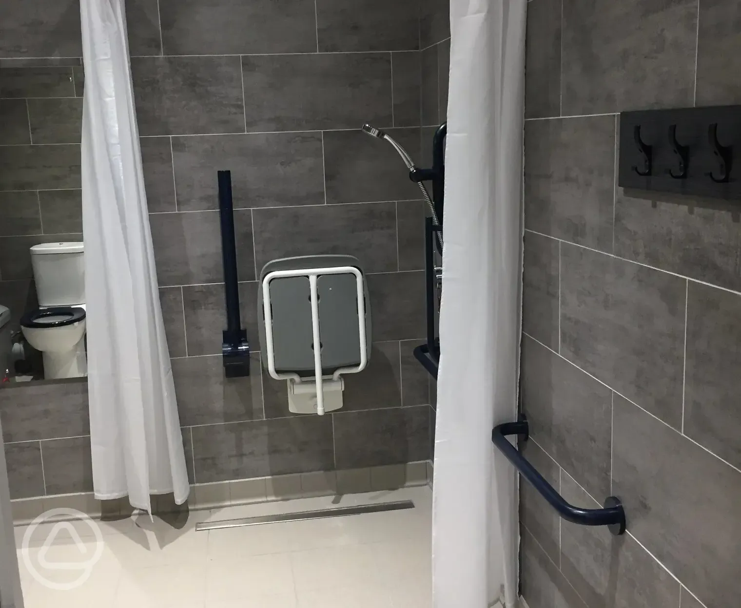 Disabled bathroom with handrail