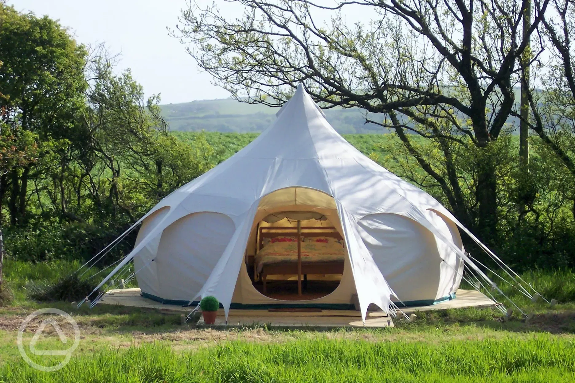 Lotus belle tent