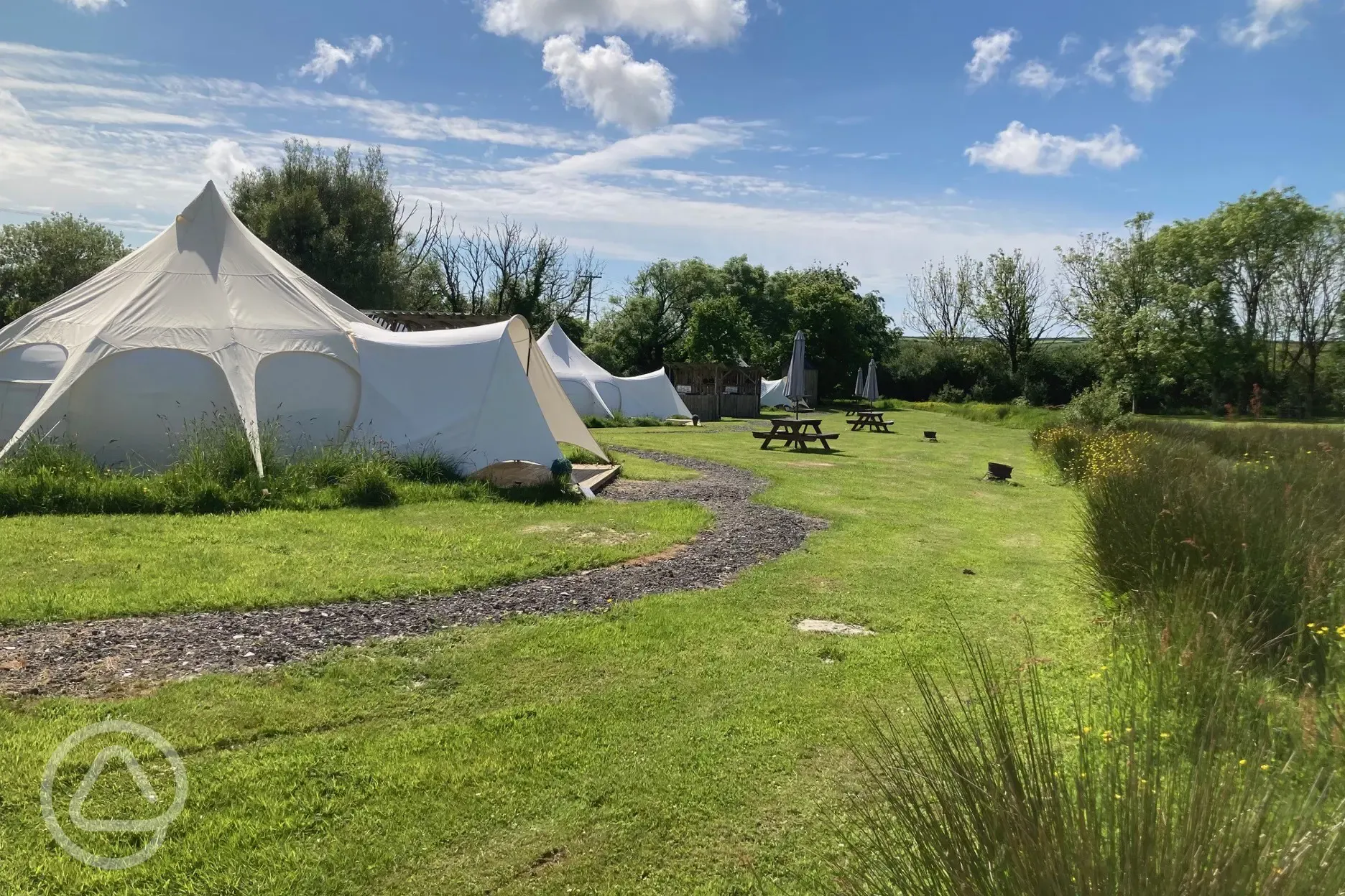 Lotus belle tents