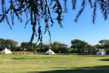 Trio of bell tents at Cheglinch Farm Glamping