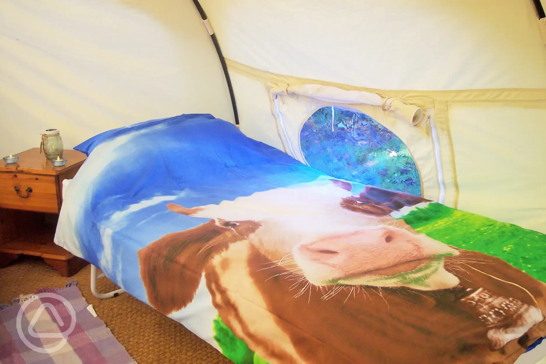 Cow themed duvet in the lotus belle tent 