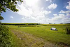 Non electric grass pitches