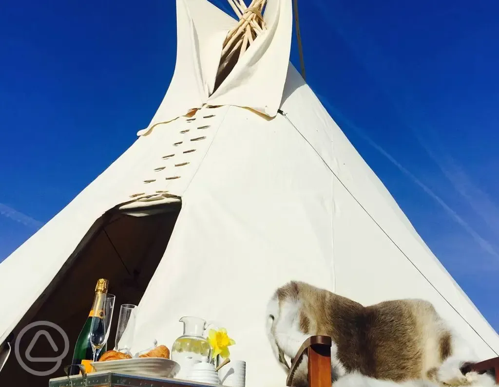 Tipi image from flyer
