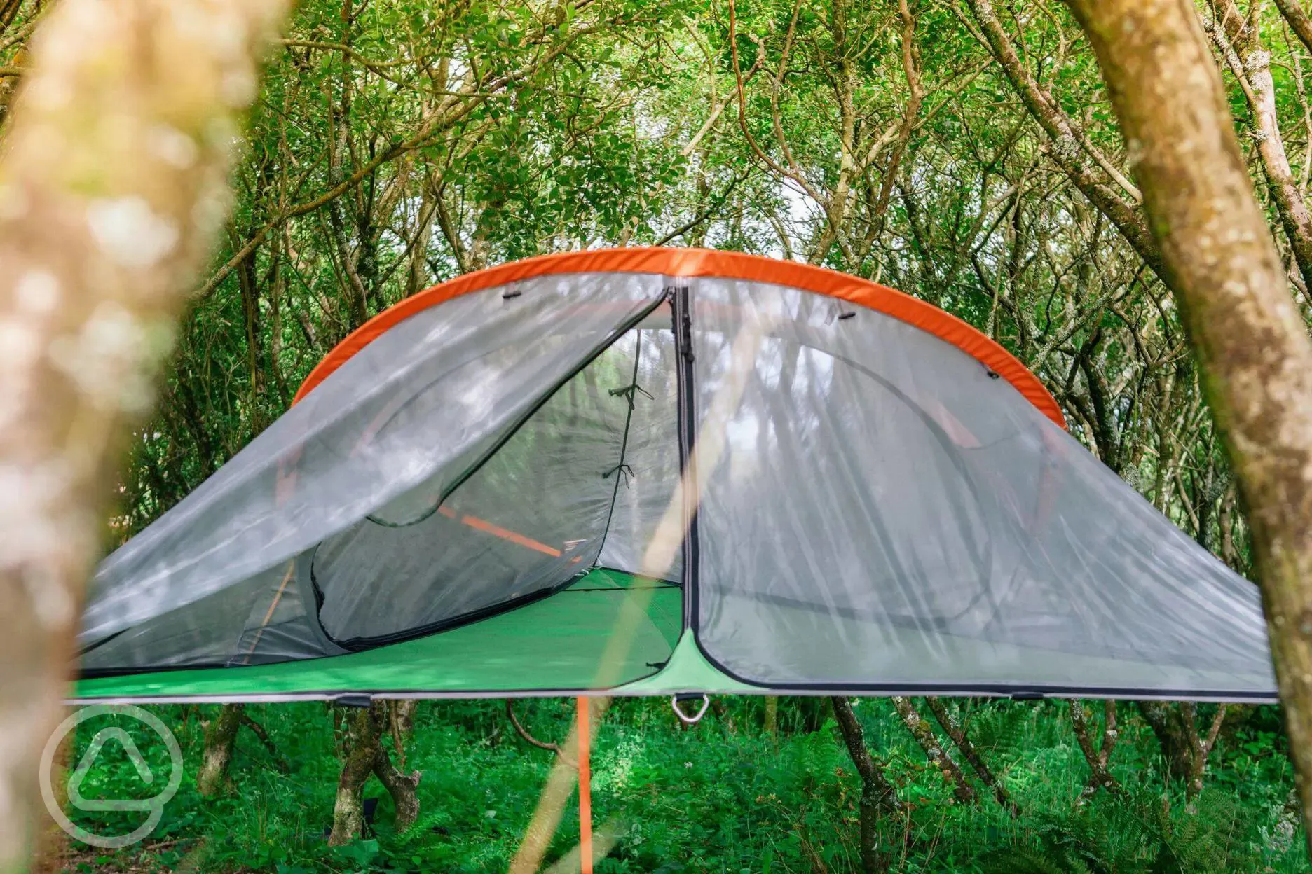 Ready pitched tree tent