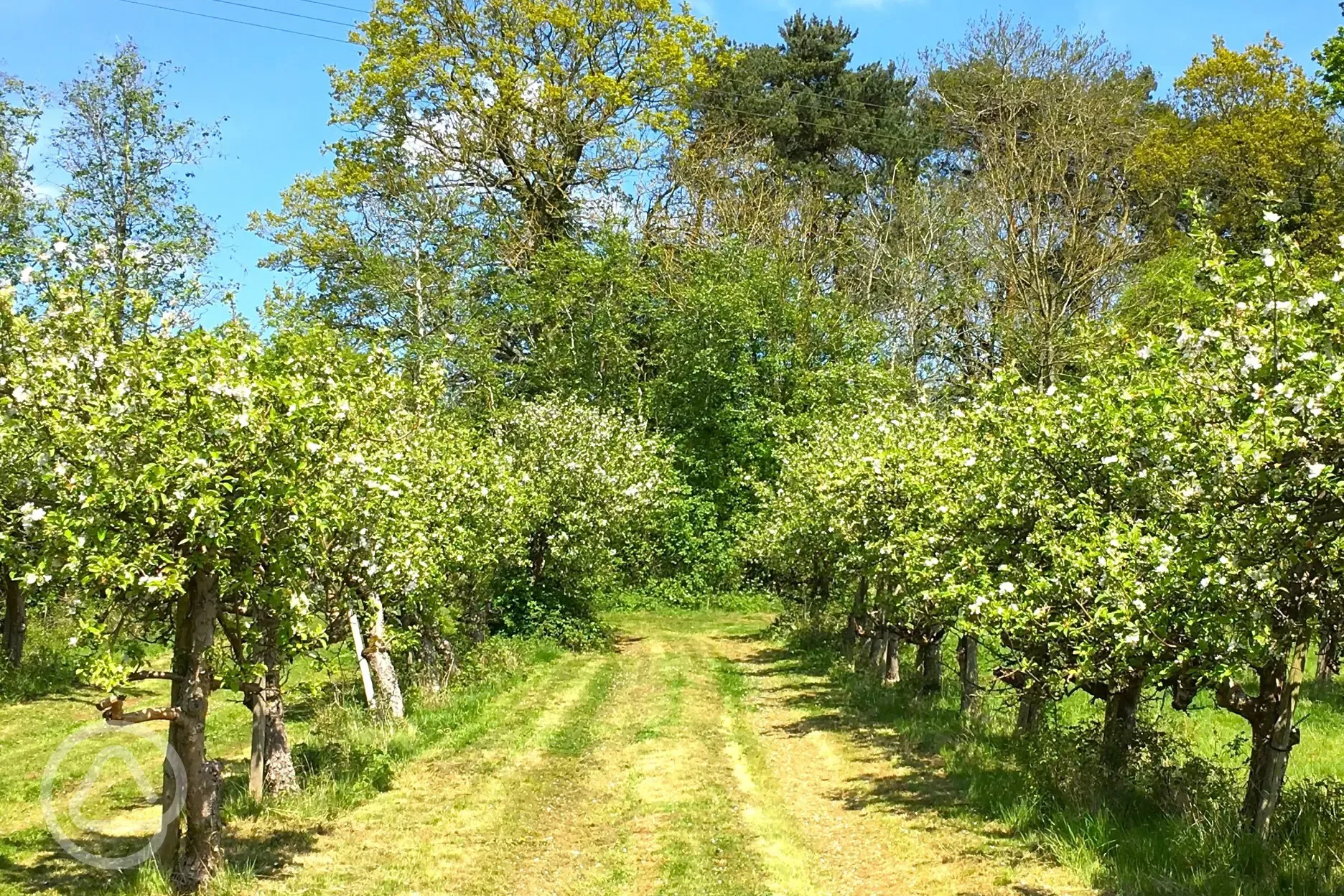 Onsite orchard