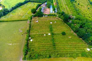 The Apple Farm, Snitterfield, Stratford-Upon-Avon, Warwickshire (7.4 miles)