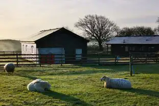 Chelsfield Farm Holiday Park, Boyton, Launceston, Cornwall (8 miles)