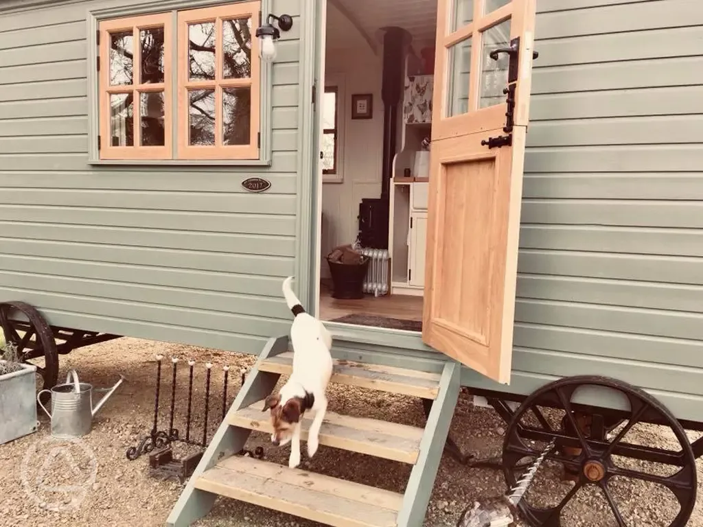Dog friendly glamping in a shepherd's hut