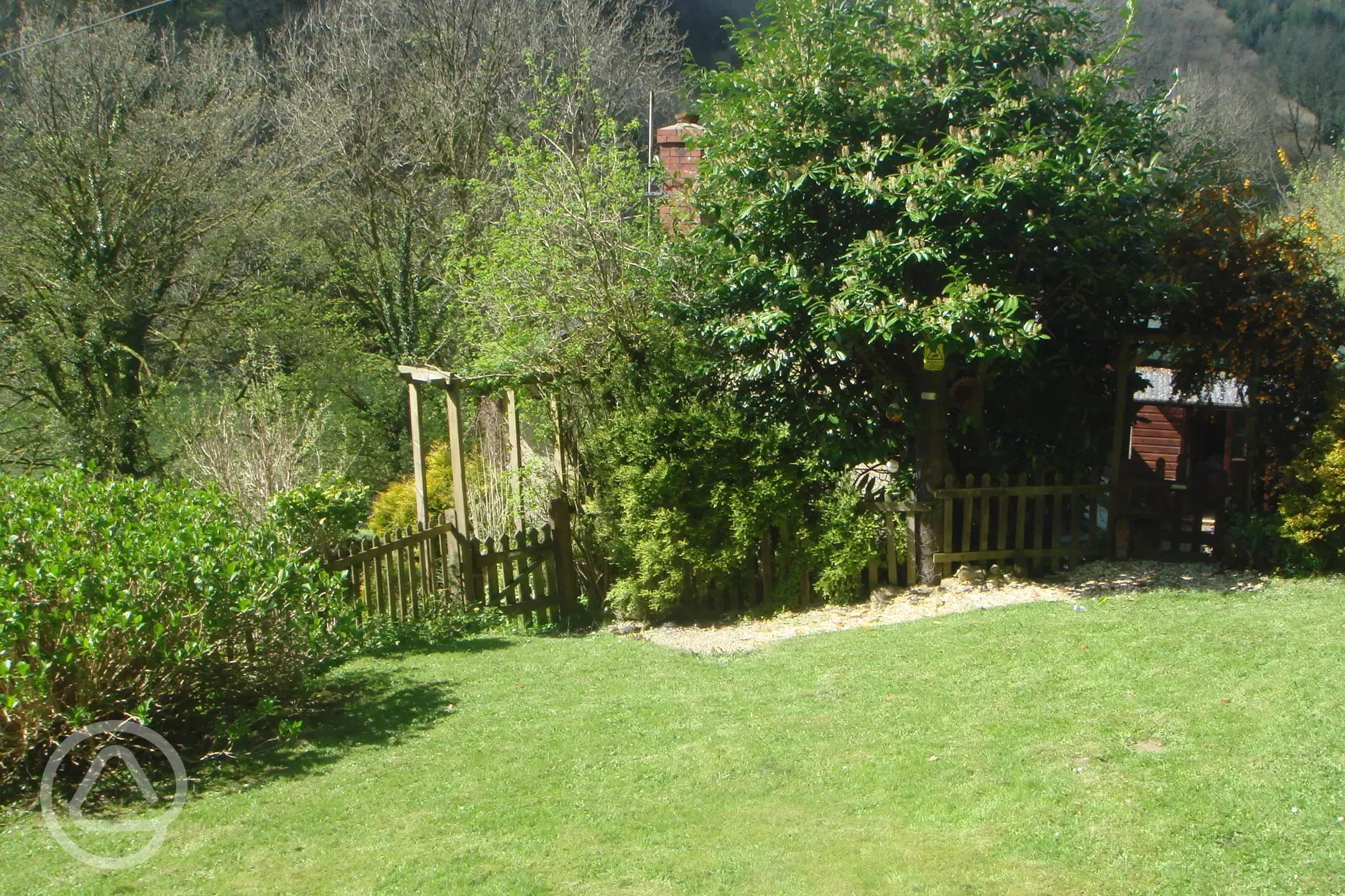 The garden area
