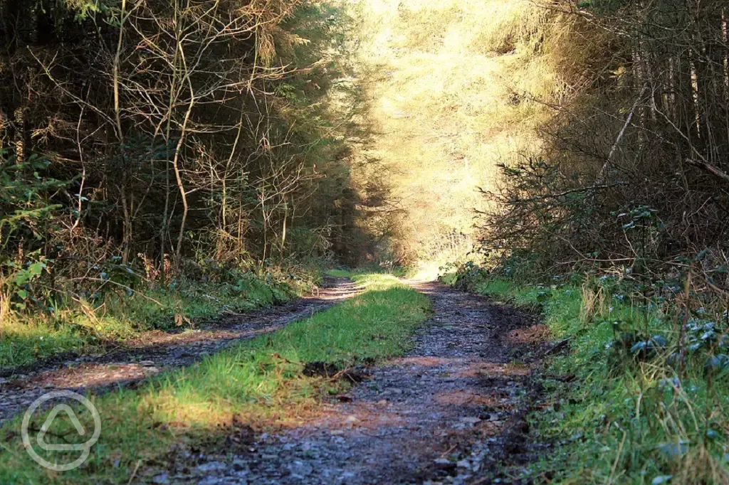 Tracks at Wonderful Wilderness