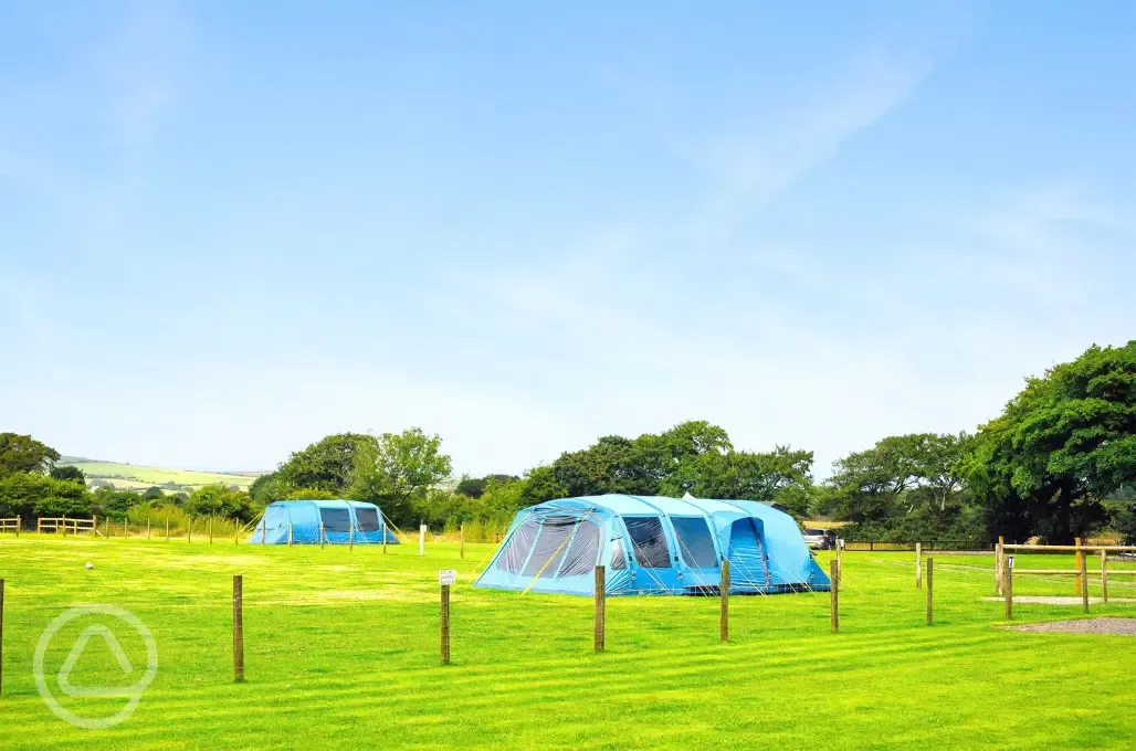 Electric grass pitches with a 16 amp hook up