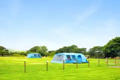 Electric grass pitches with a 16 amp hook up